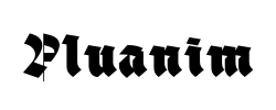 Pluanim - logo